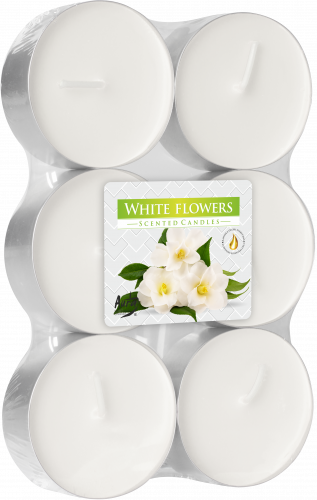 AURA čajová svíčka 6ks MAXI Bílé květy